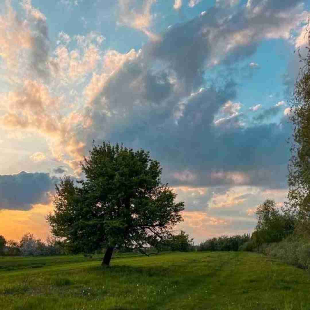  انگار بی حس شدم جدیدا من به هر حسی ای کاش