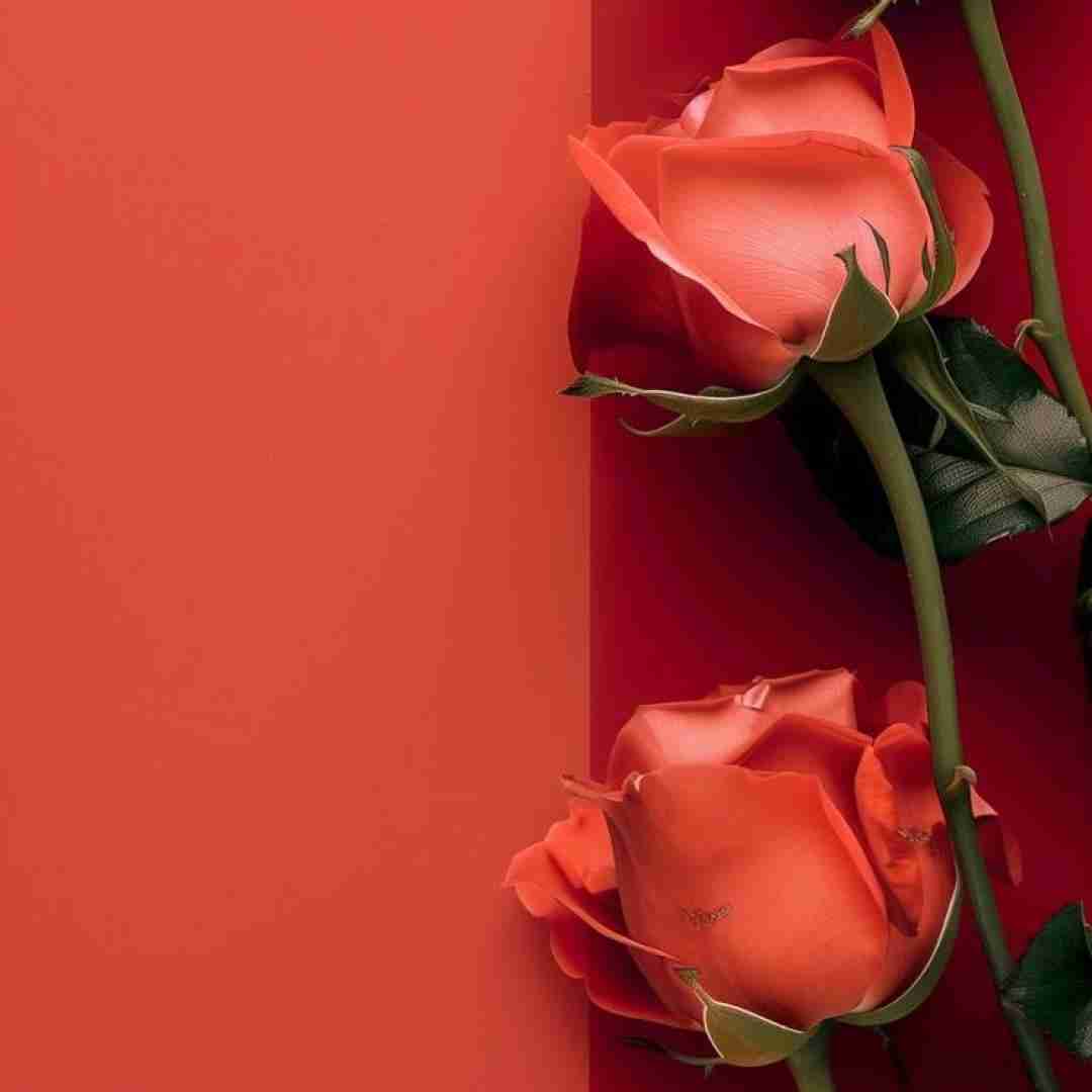  حس میکنم با تو دیوونگی خوبه بی خوابی و عادت