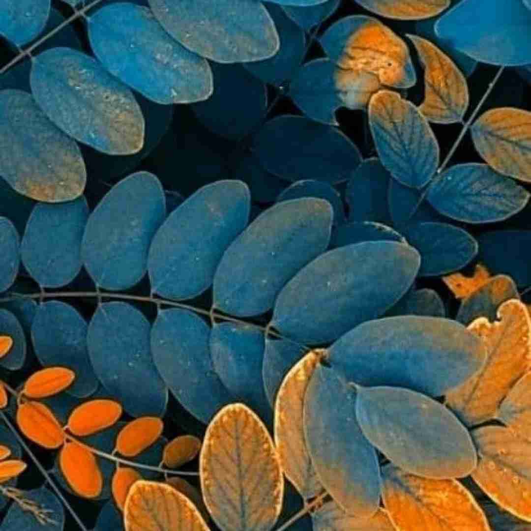  نزار بشه فازت بد حق میدم اگه من و یادت رفت