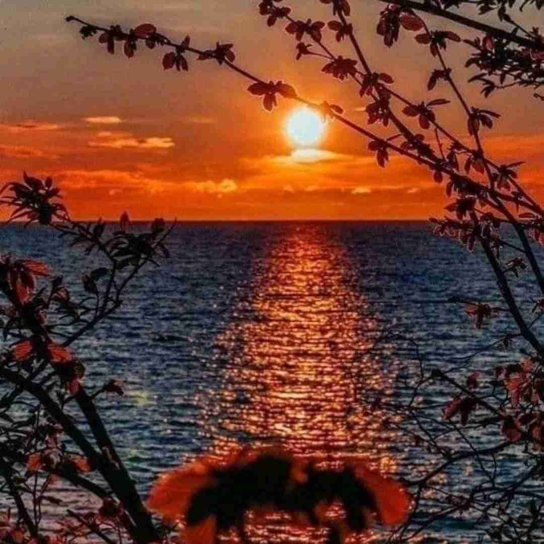  تقصیر توام نیست خب عاشقم نبودی باید حدس میزدم با صدای بچه