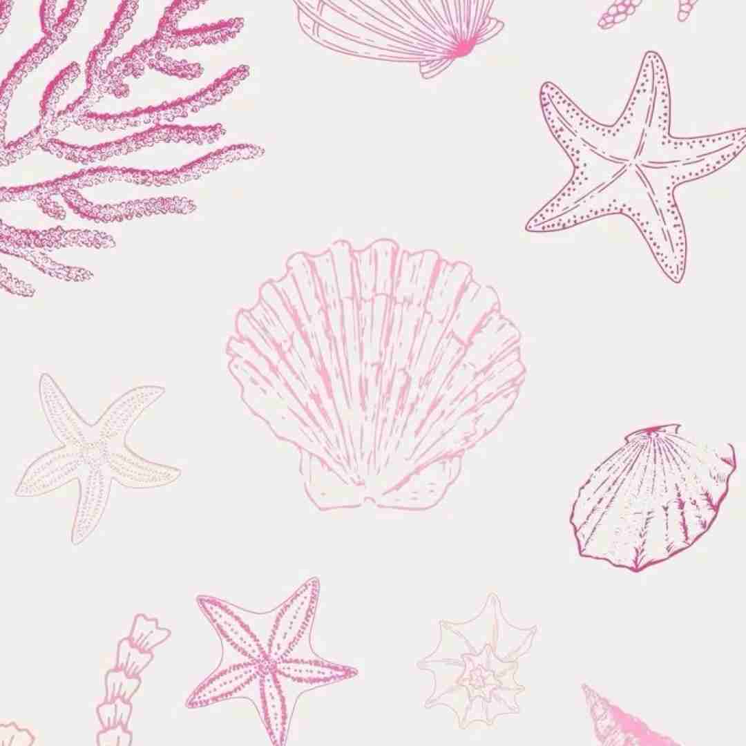 نامه هارو میخوندم عقب تاریخ هیچ فرمولی ندیدم که نبره