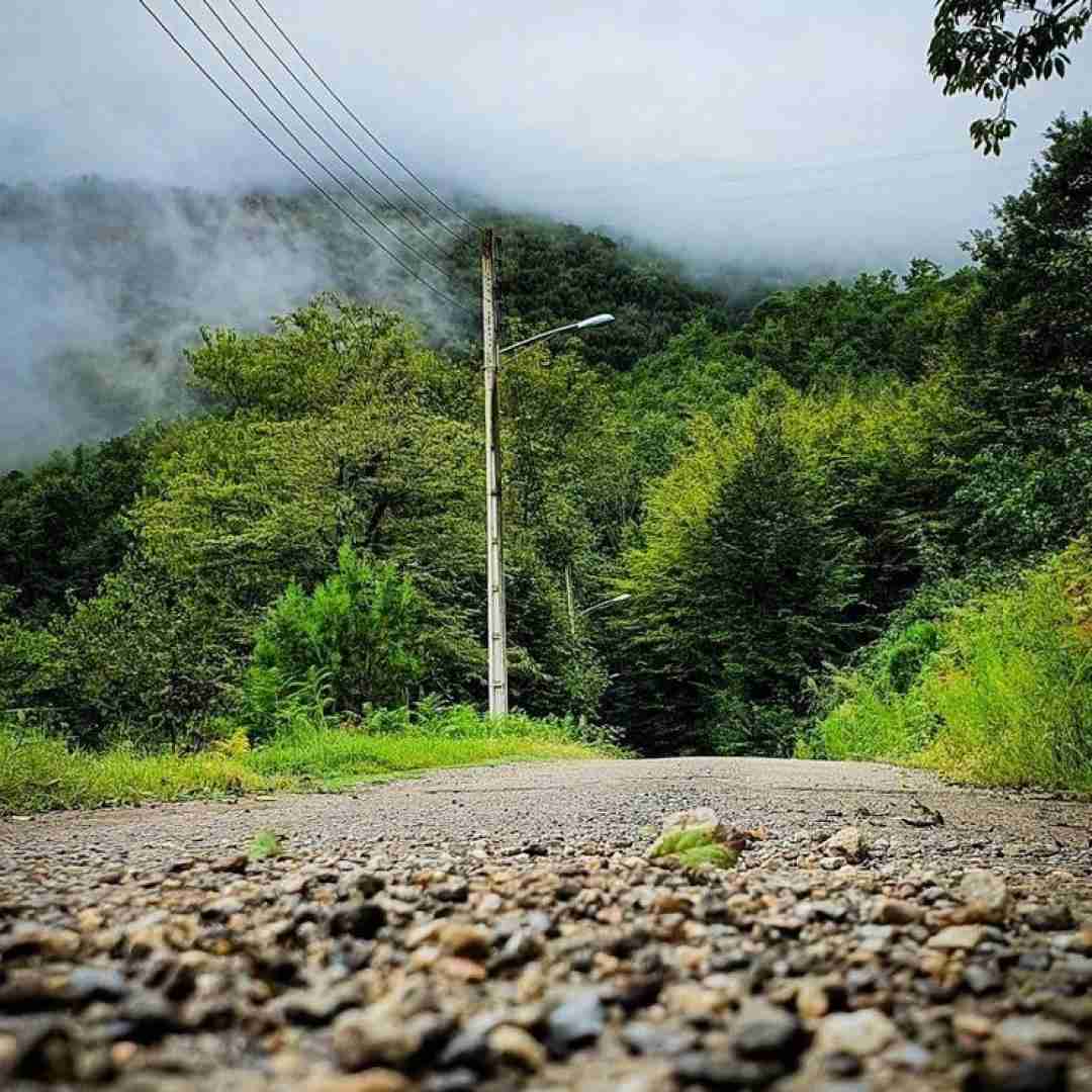 گفتم میرم برنمیگردم گفتم بلدم از شب نمیترسم
