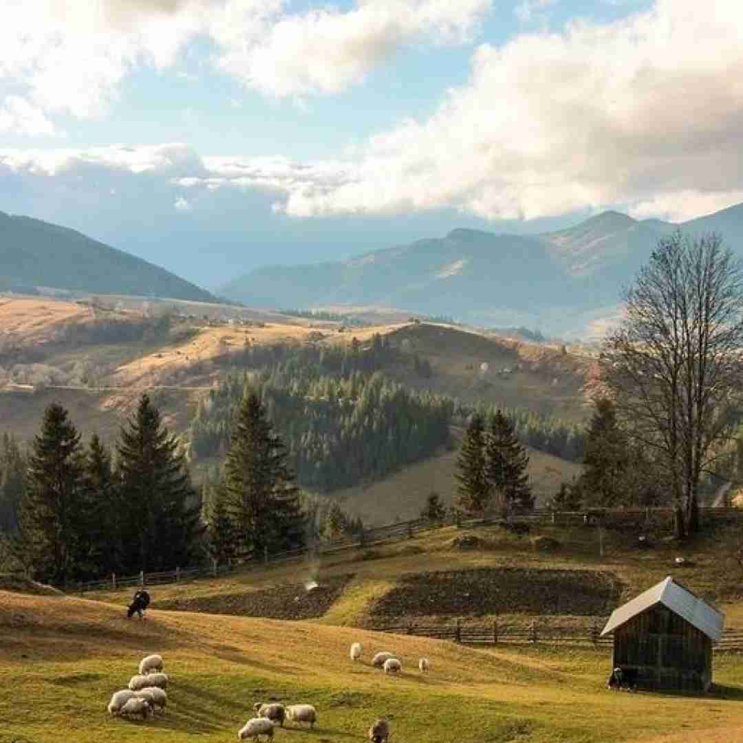 دارم میرم از این شهر میرم برا همیشم