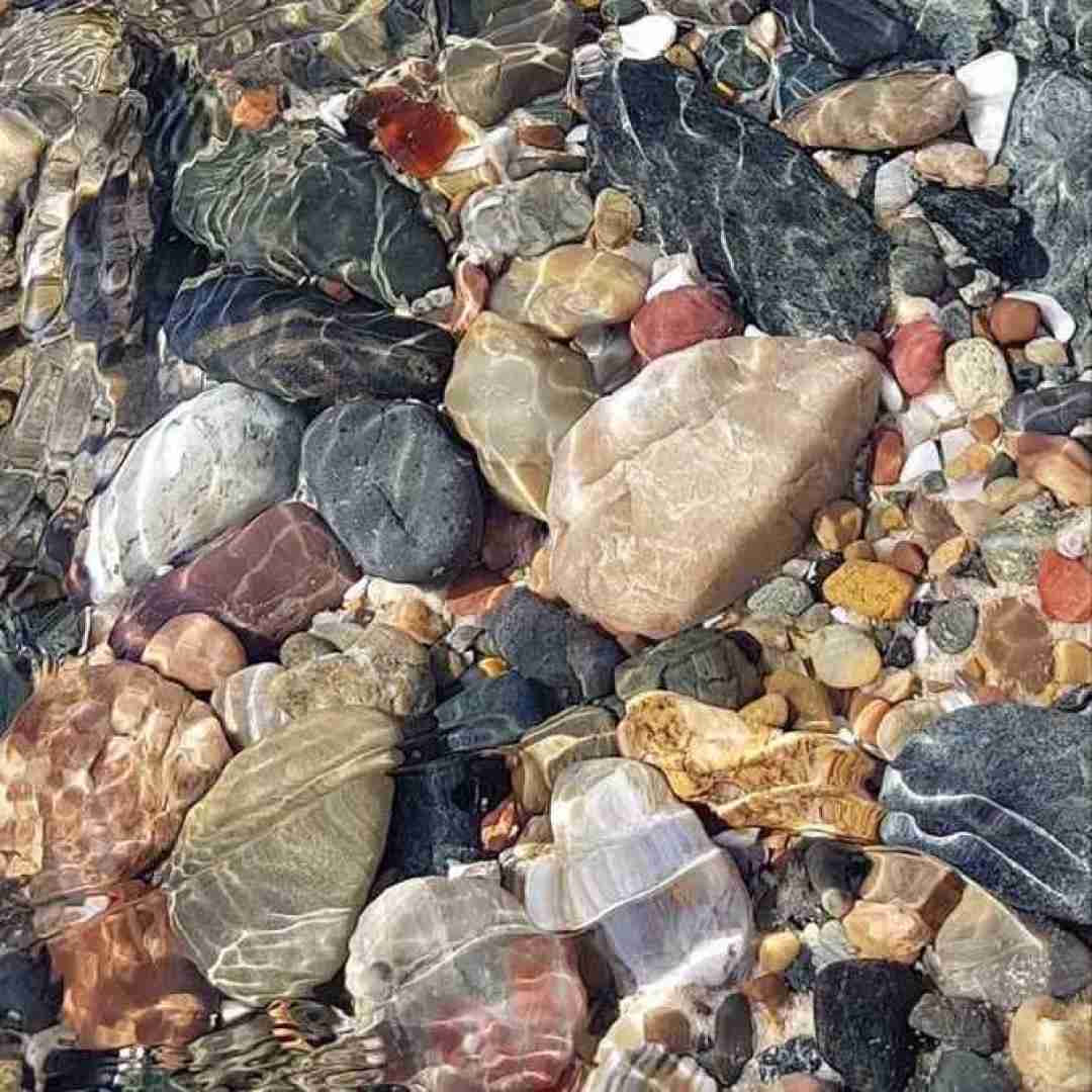 هفت روز هفته سر گذر محله جنجال و غوغاست