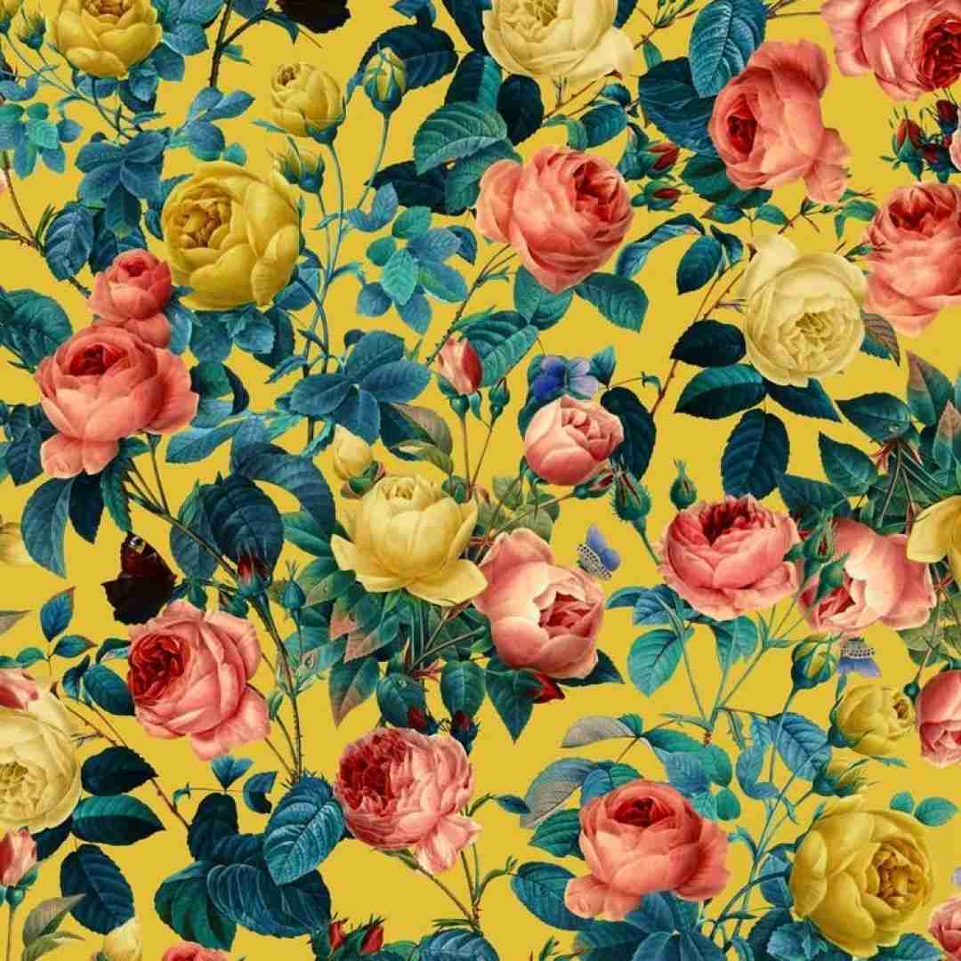 ته این قصه لهم کردی این راه و نصفه ولم