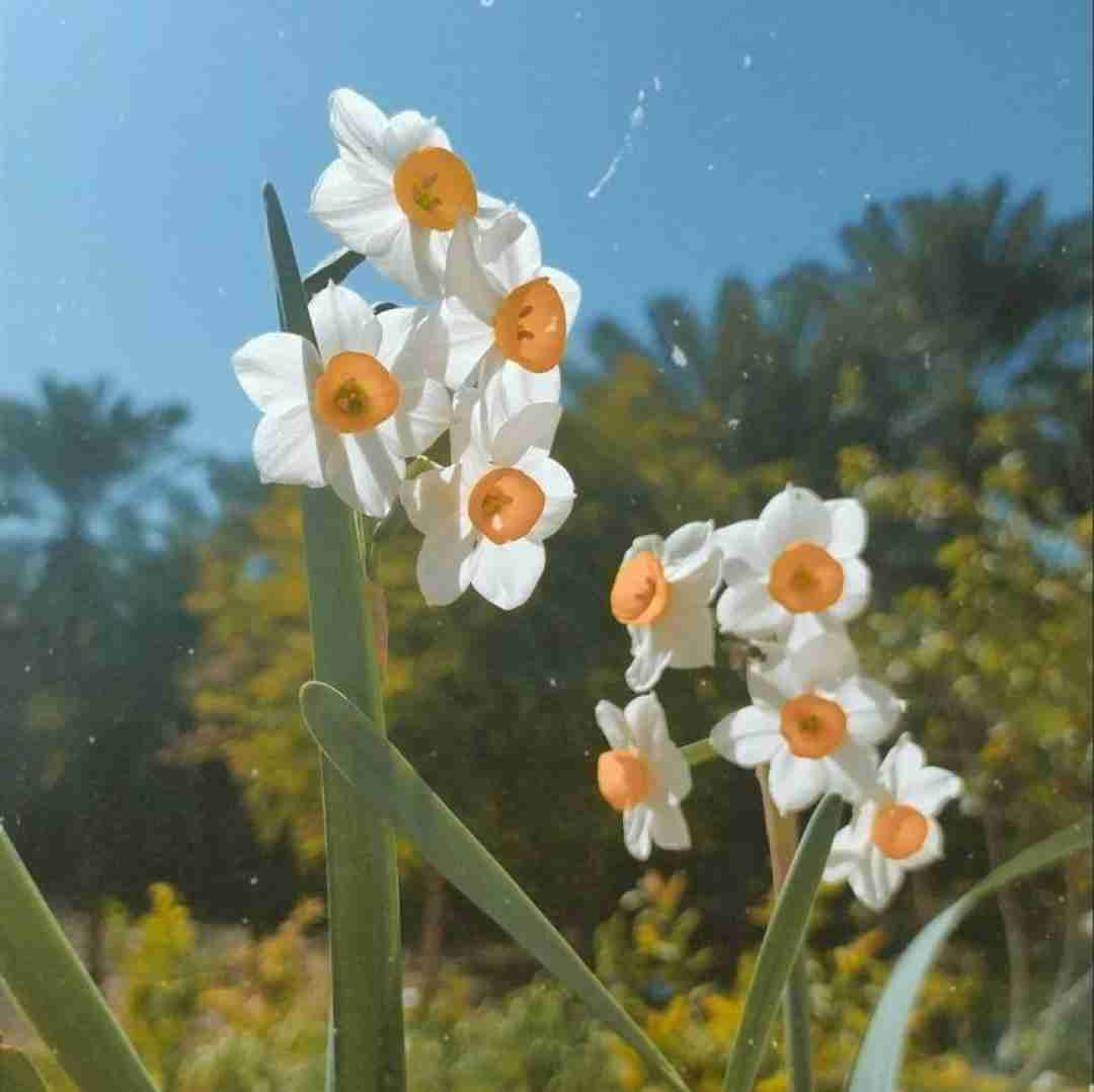  بمبه بمبه بمبم رو بیتا رفته کل عمرم رو گیگا با صدای پسر