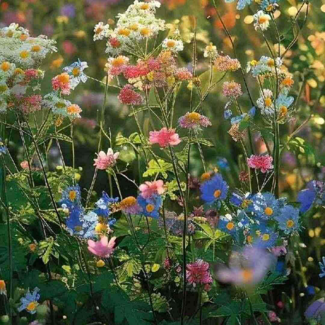 من از هفته پیش دوباره افتادم به یادت فکر نمیکنم