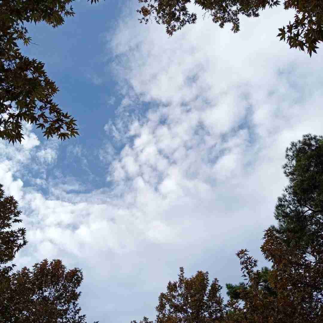  کجایی بی معرفت یه روز بودی ماه شب من تو ورژن اینستایی