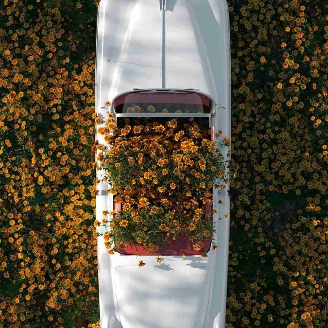 آخرش باخت دلم با همه چیت ساخت با صدای دختر