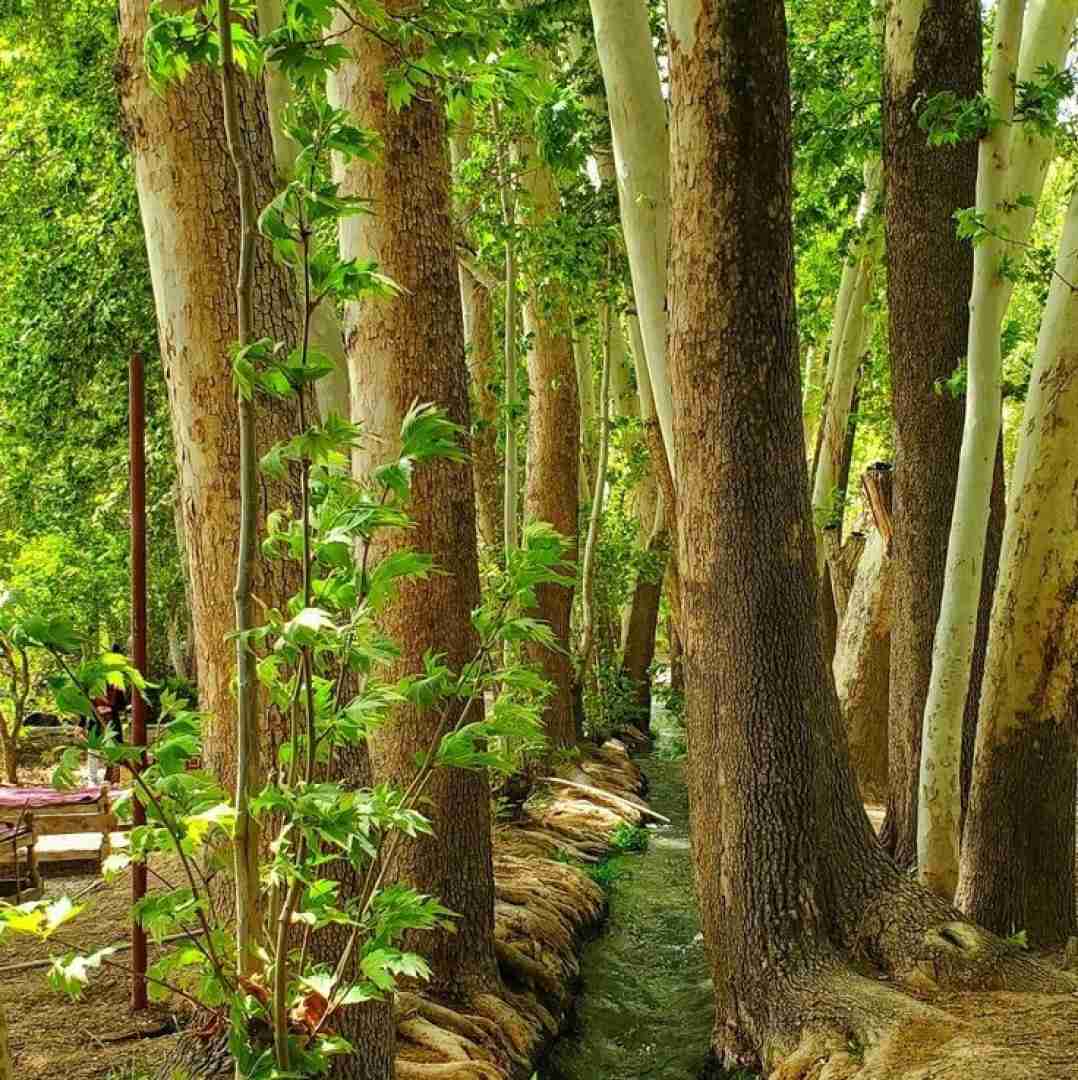  هیس نمیخوام جا بزنم تو گذشته دست و پا با صدای دختر