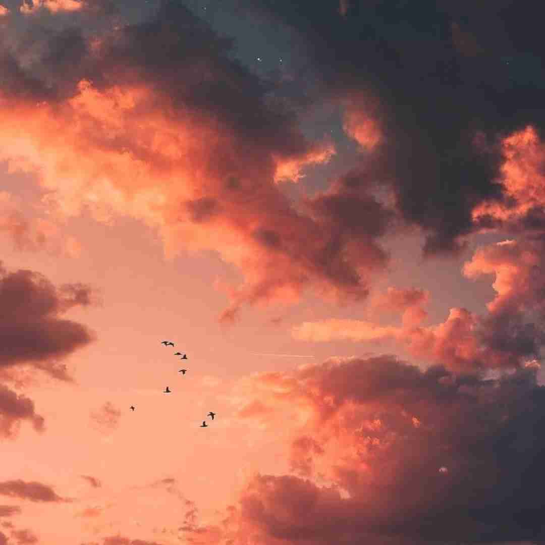  یه طرف منو این حال بد یه طرف تو با صدای مرد