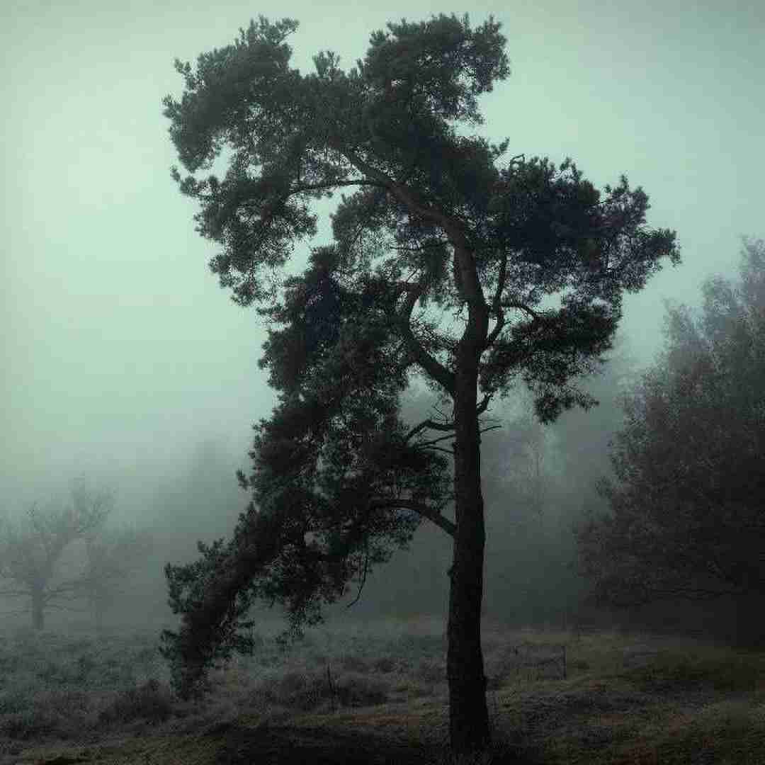  ولی افسوس تو ز من خیلی دوری میدونم