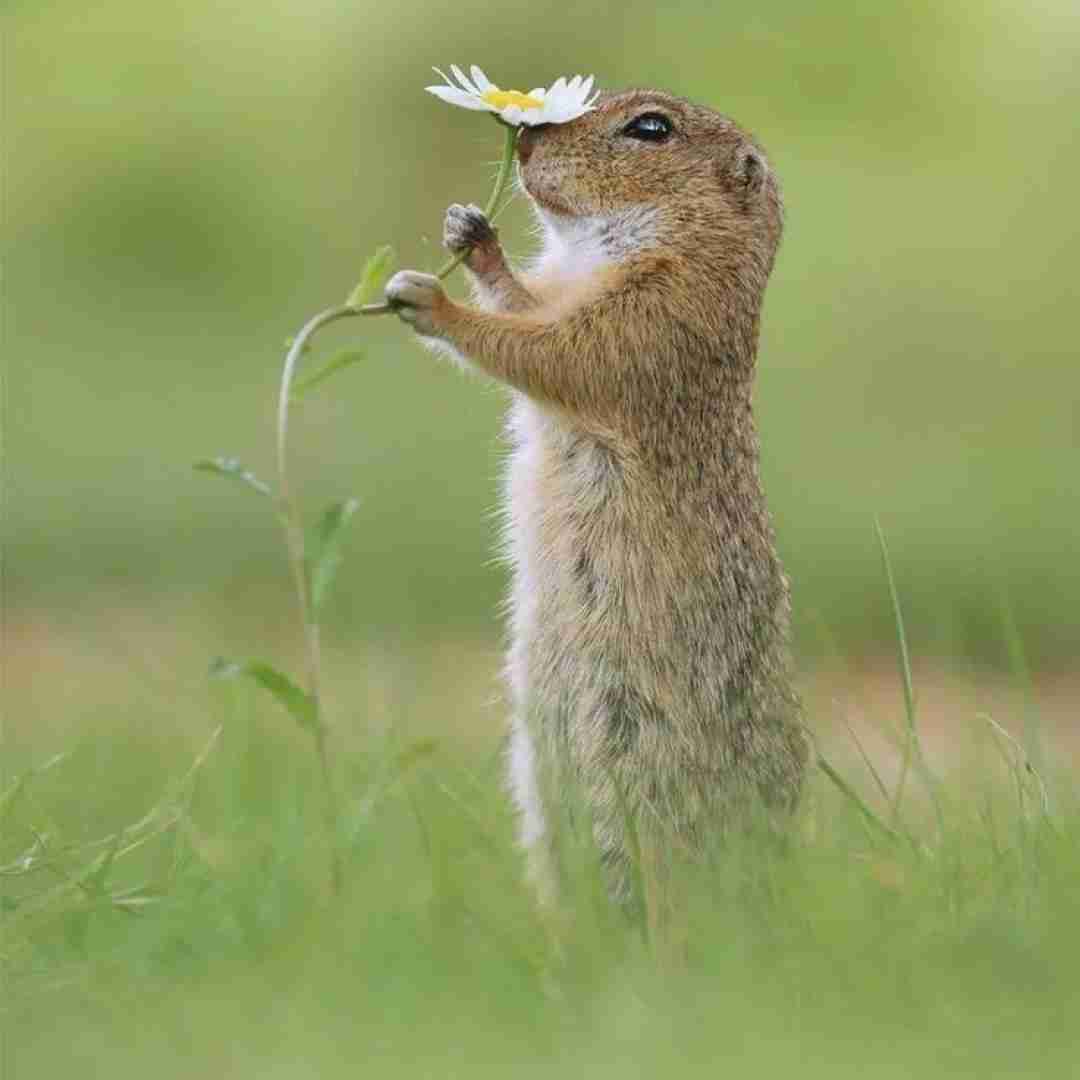 مثل کشتی زیر دریا نمیمونم نمیمیرم اجرای گروهی