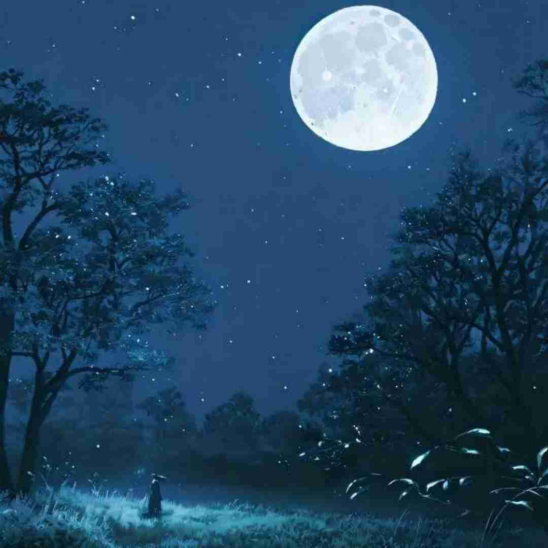  من تنهای بدون تو به دلم یاد داده بودم بمونه تو خونش _ رپی