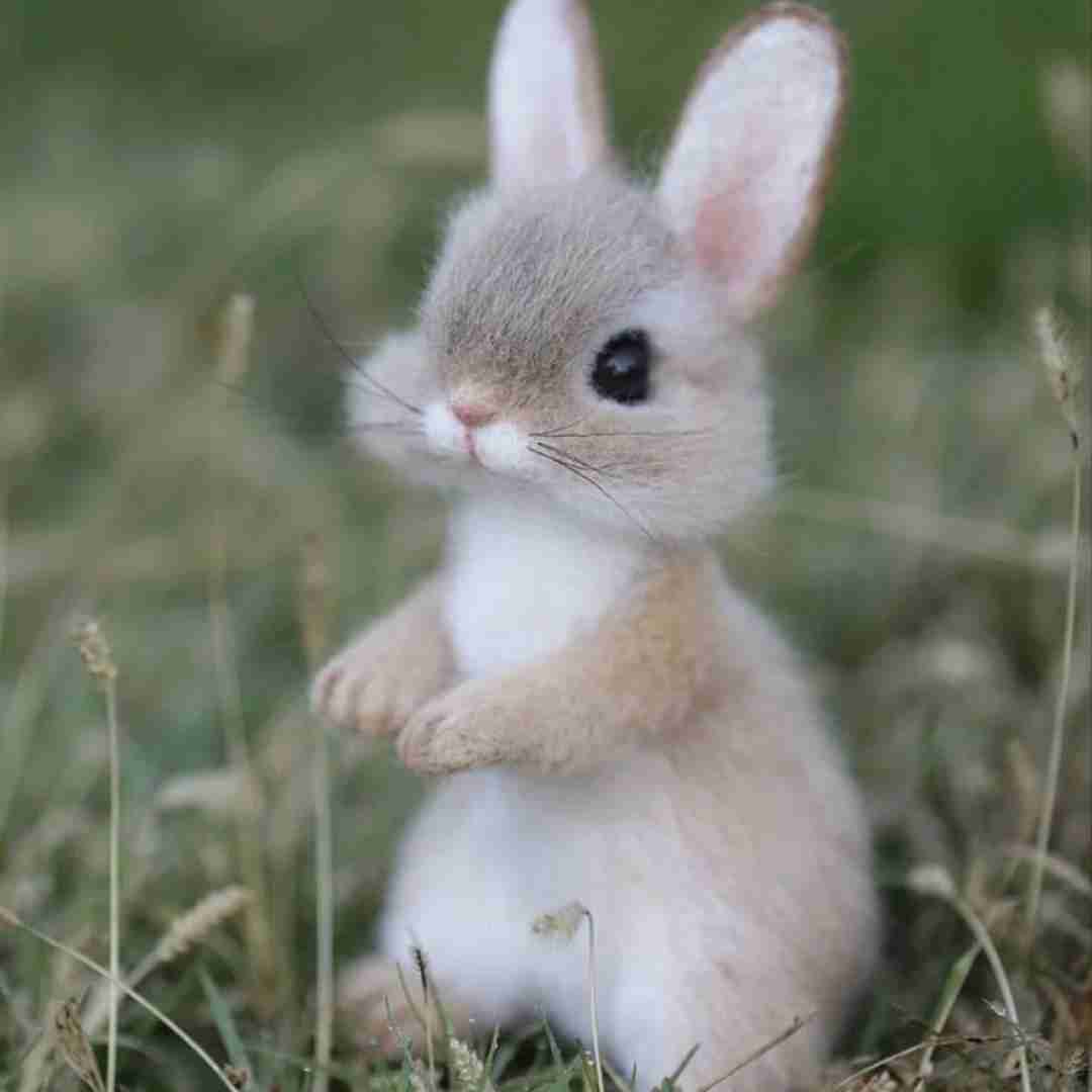  با اینکه نبودی با من خوب همه حرفاتو یادم موندش