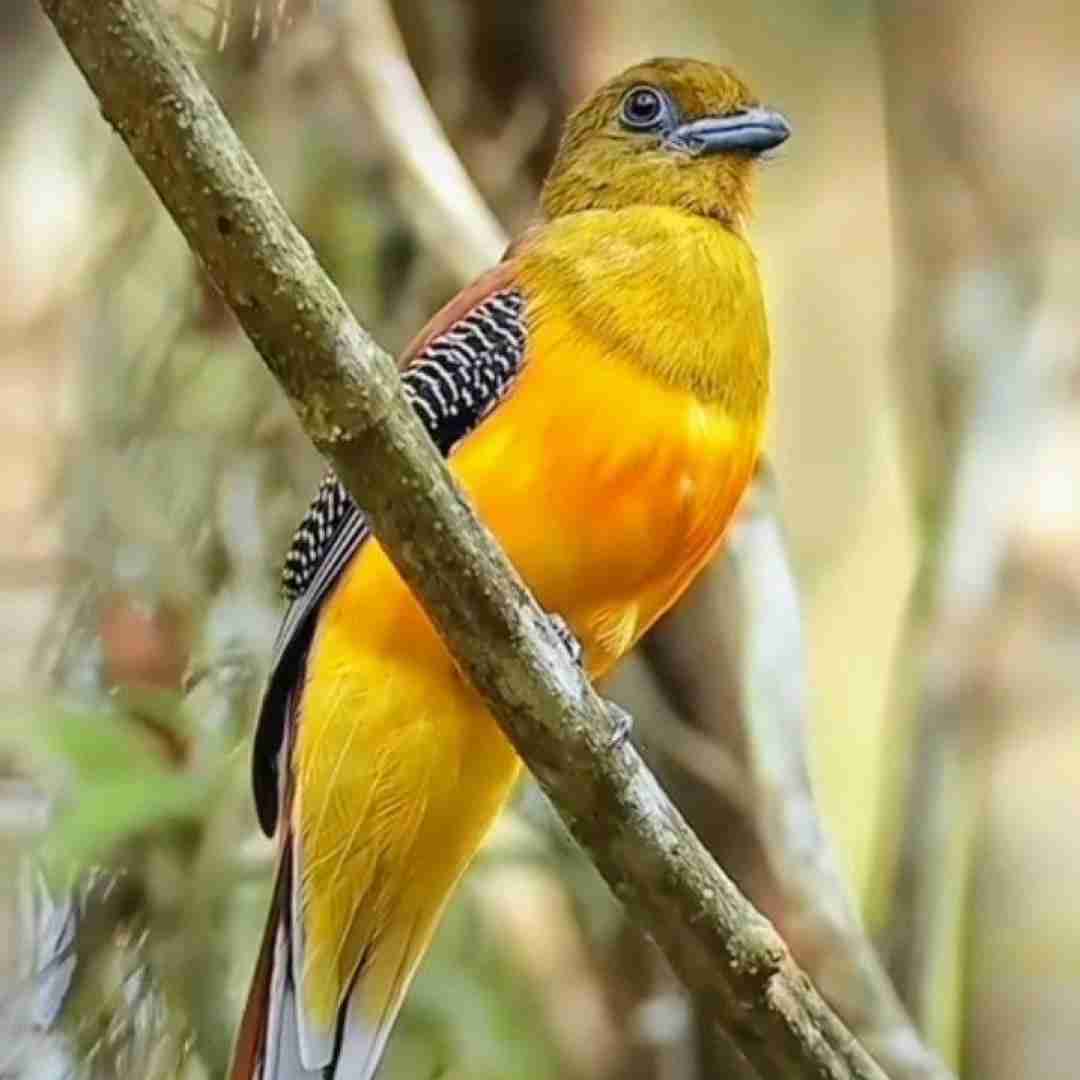  دوباره دوره همیم ما کنار دریا موج ها و سیگار