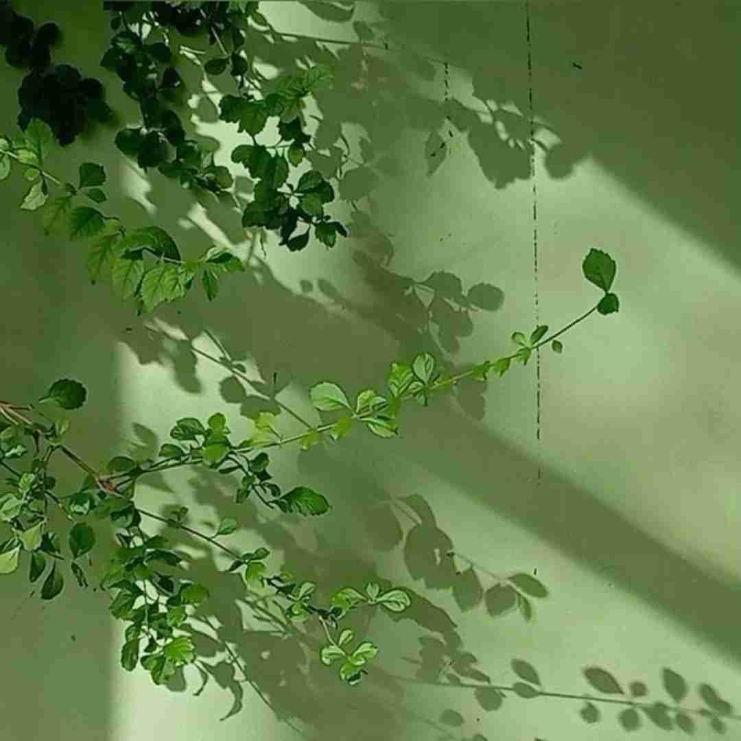 حماقت منو ببین که به کی دل داده بودم خدای من