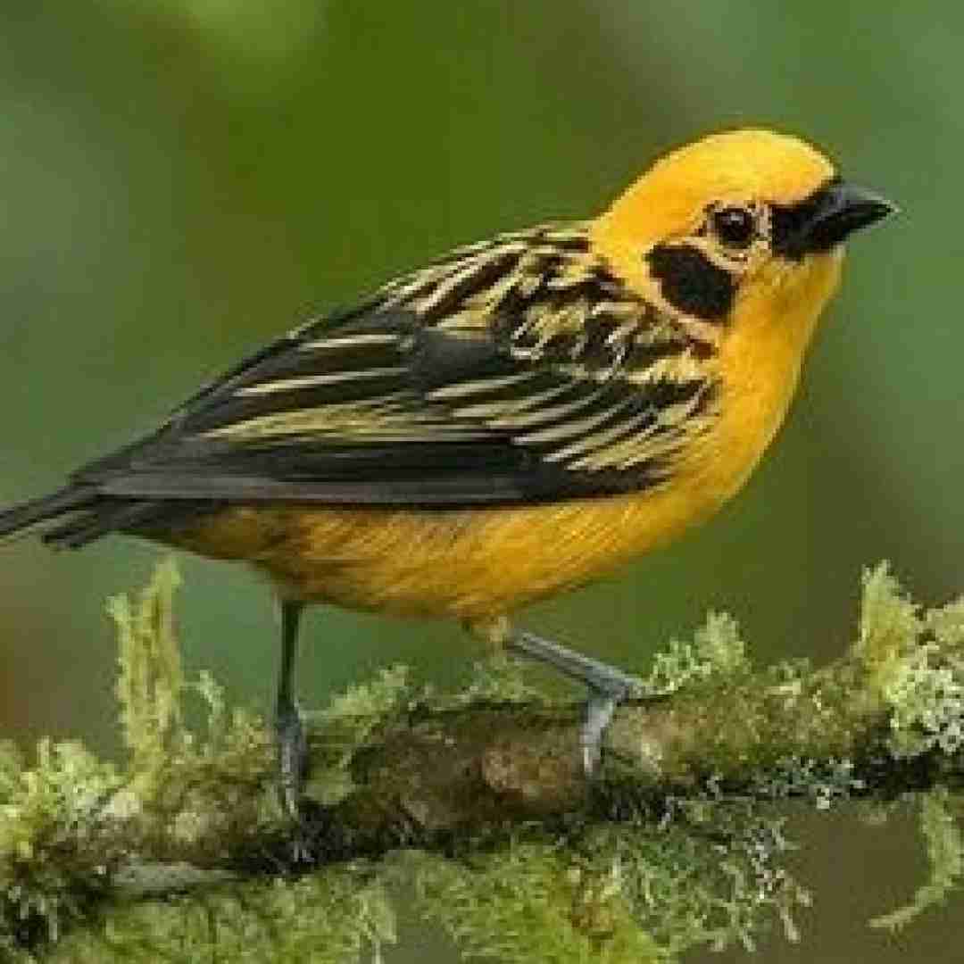  الف ب پشت سرم داره کینه تو روم رفیق فاب ماجرا