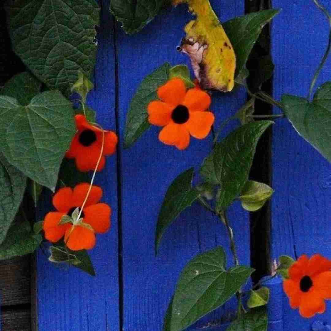 بازگشت همه به سوی مدرسه است با نهایت تاسف و تاثر اینستایی