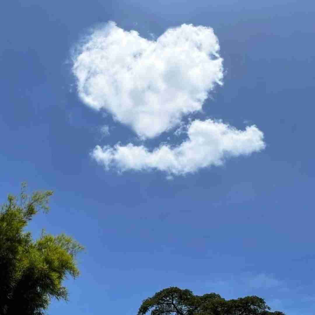 از اونا که تو خودم کشتنم چخبر از دوست ها