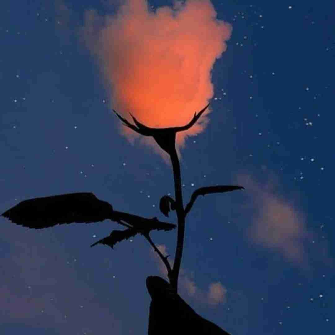  دروغ اگه بگم میبرم از یادم بو تو من هرکاری کنم بازم