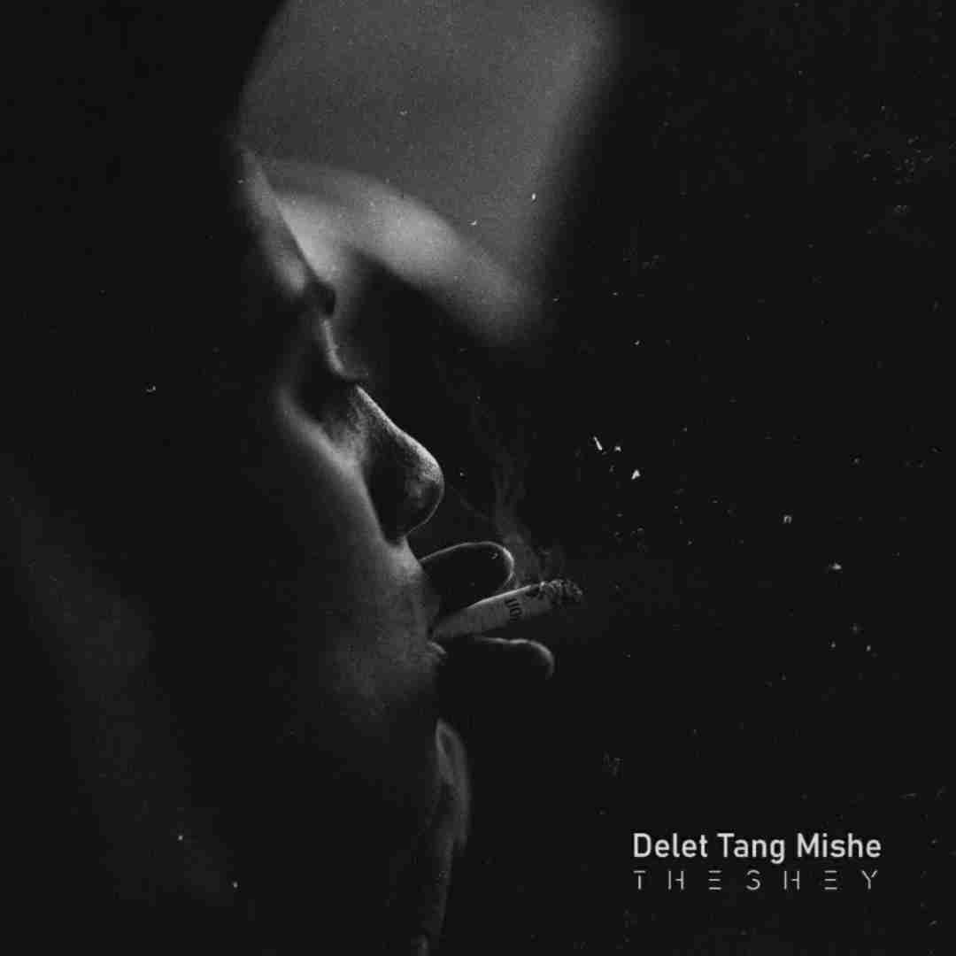 دشی دلت تنگ میشه