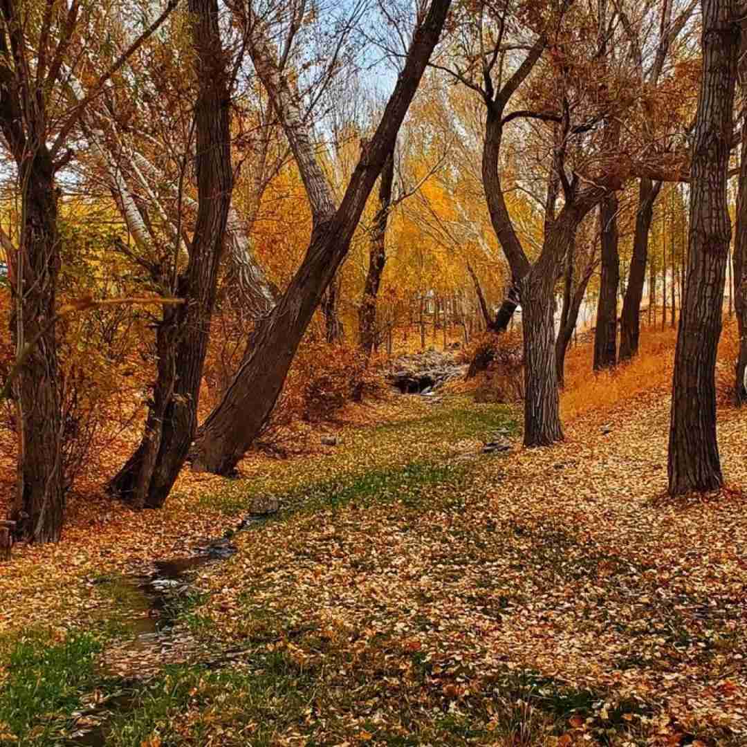  شما نه رقیب مایی نه دشمن مایی نه مال این حرفایی اینستایی