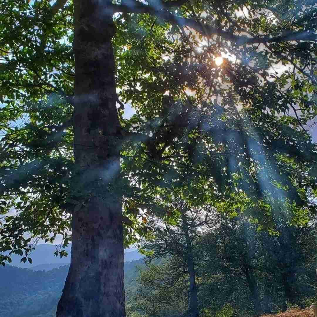 بیا بریم با هم شمشک توی جاده بریم بالا تا خشتک اگر گرفتنمون