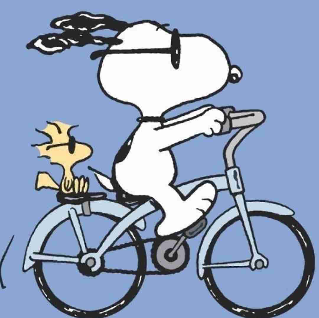  تونستی عاشقم کردی الان ما بهم وصلیم