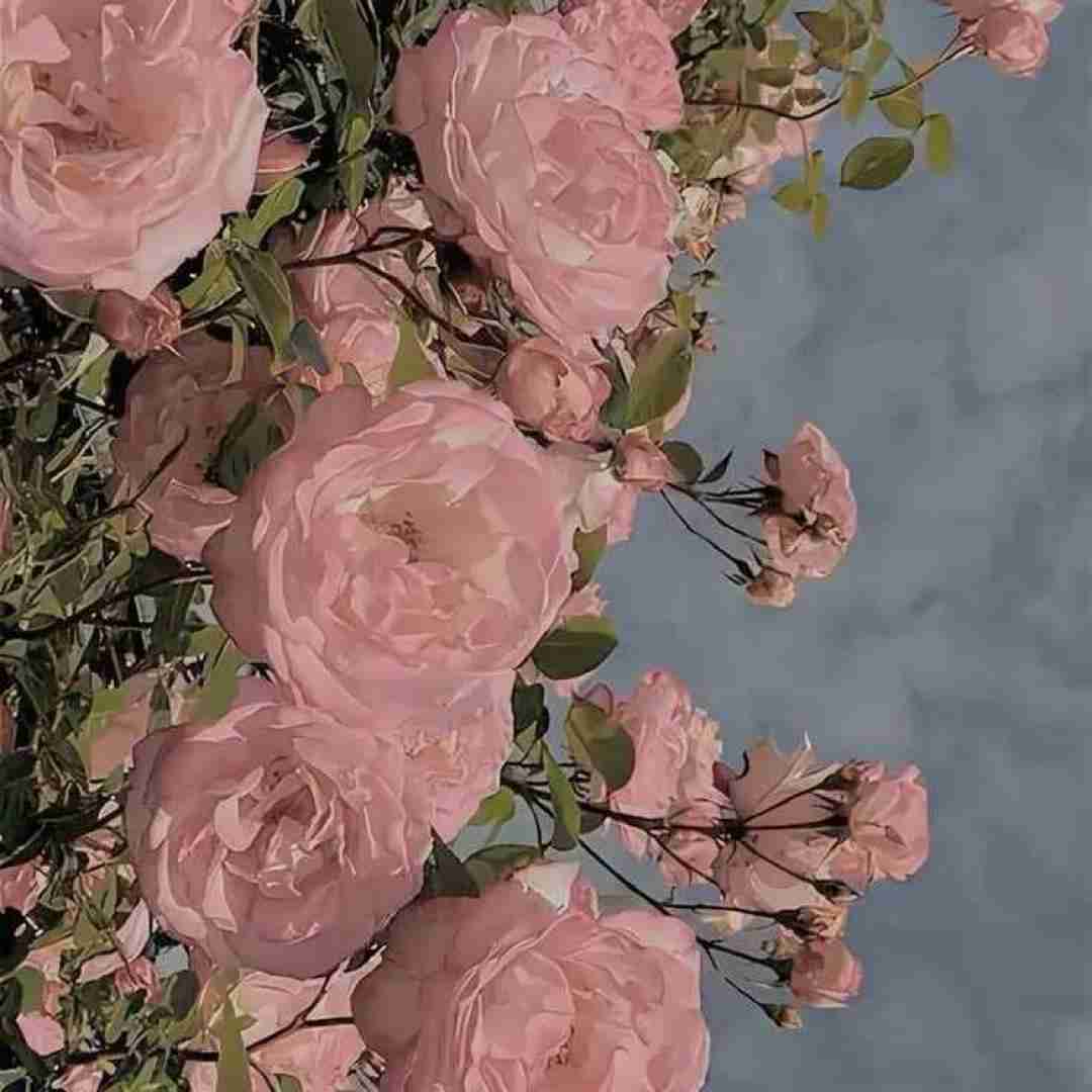  واسه تو میشکنم الان آسمون اگه منو میخوای فقط راست بگو