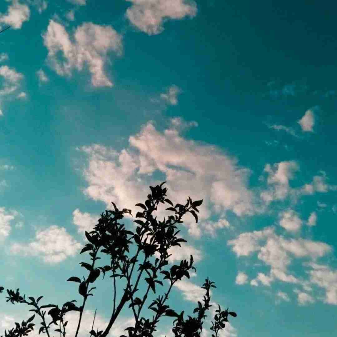 تو چشماش دروغ و میدیدم میاد جا حرف زدن جیغ