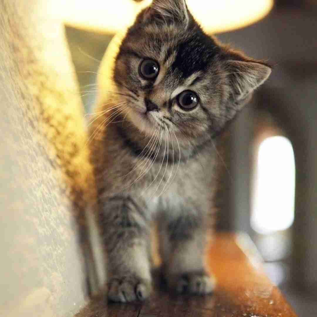  تو که میدونی وقتی نیستی پیشم میگیره هی نفس من