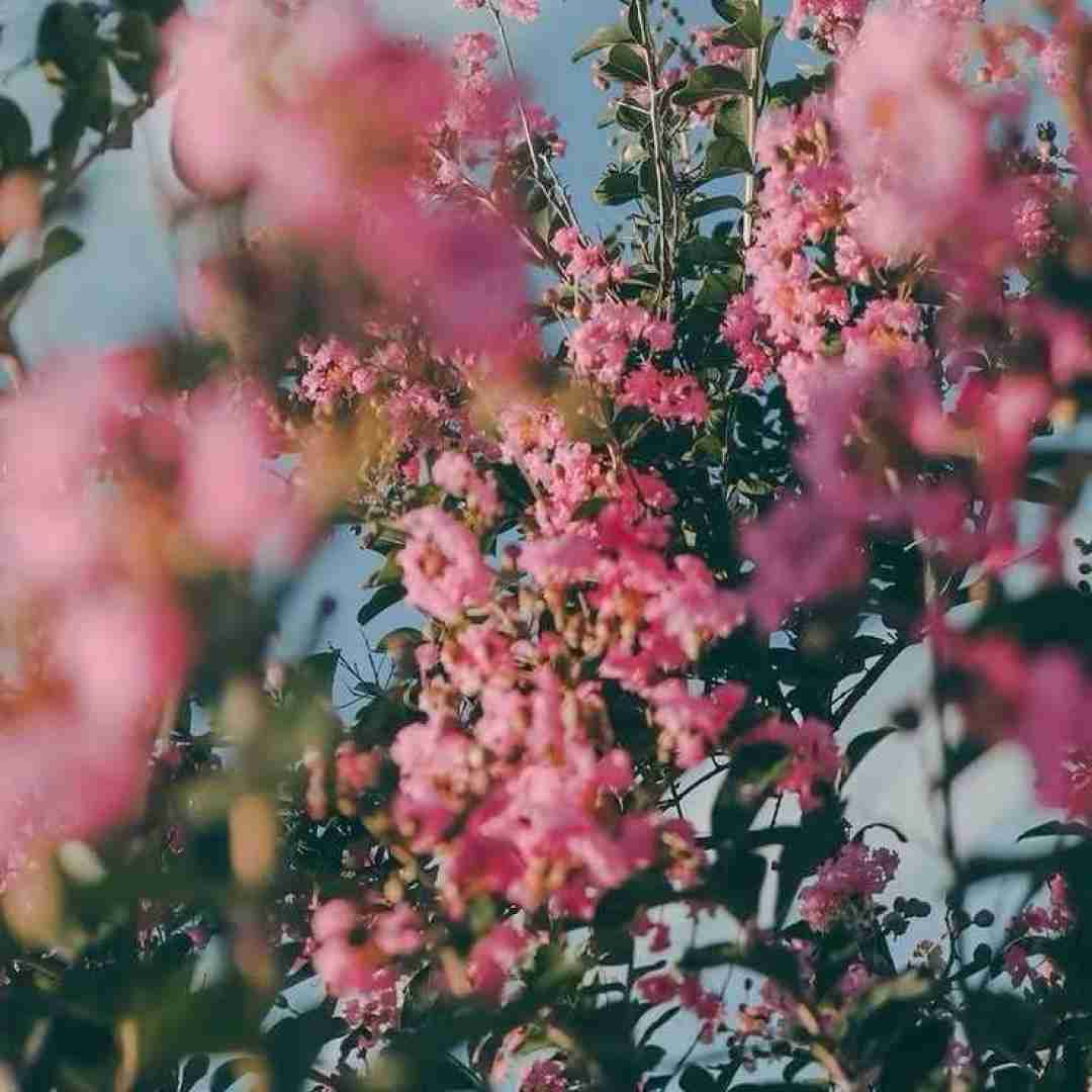 تو مثه معجزه ای من که تا تهش هستم مگه اینکه خودت بری