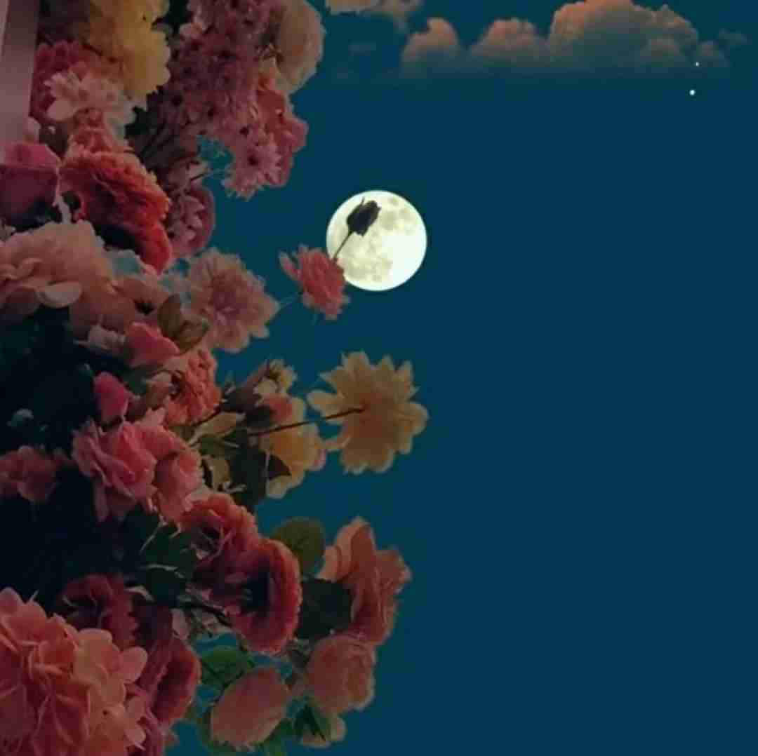  واسه چشات کلی دادم پول