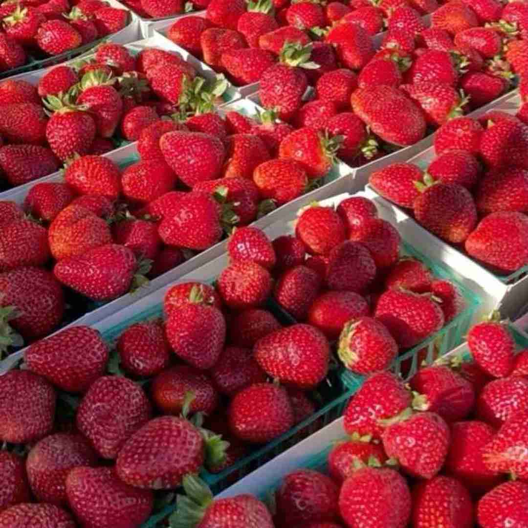 دوباره نخوابیدم افکار پریشون ترند اینستایی