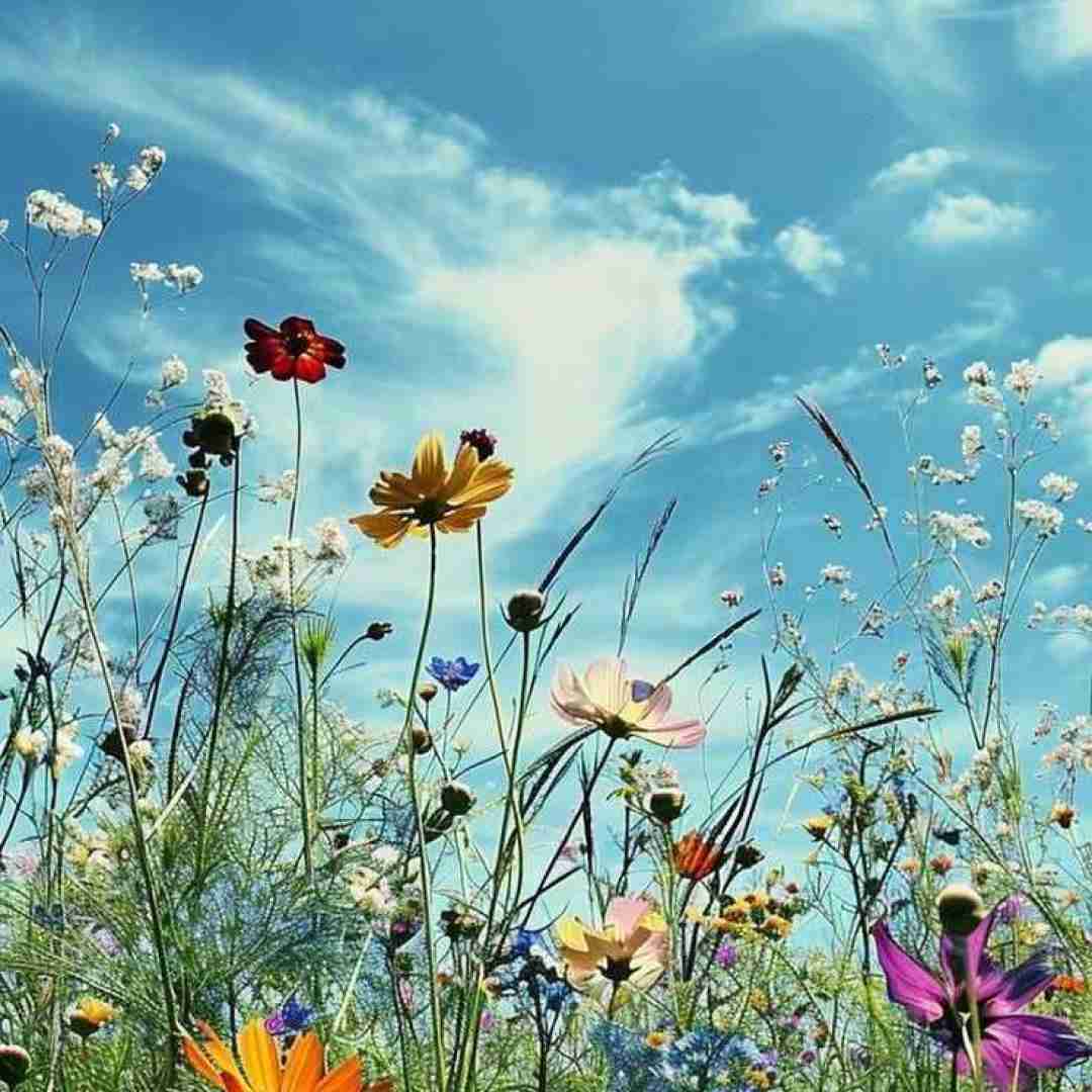  دعا میکنم دائما خدا کمکم کن خواهشا ریام بزرگه