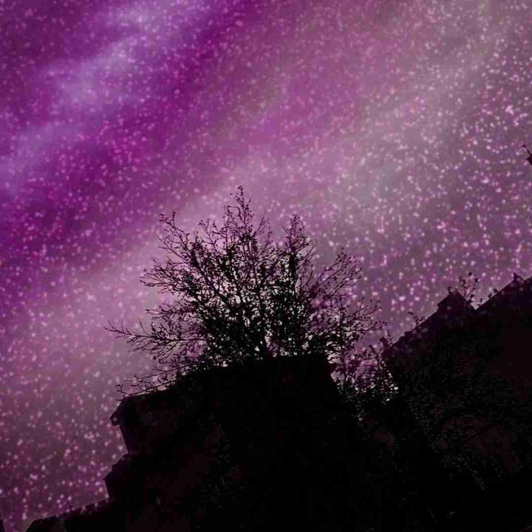  آرزوی ما بود خاطره ی باقی من کش میخواستم جای دل خالی