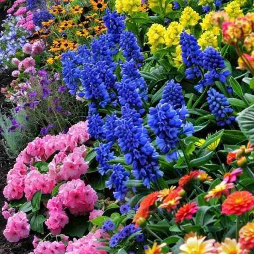 نفسامون وصله جدا ممکنه خفه شیم جز عاشقت شدن چه کاری