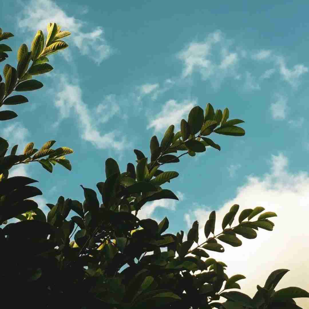 میرسیم یه روز به هم یه جای دیگه آسمونی که مثل چشاشه