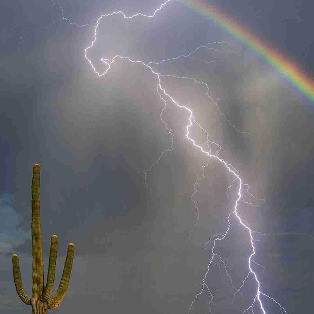  خیلی شبا نیست حال من خوب ولی مجبورم باشم