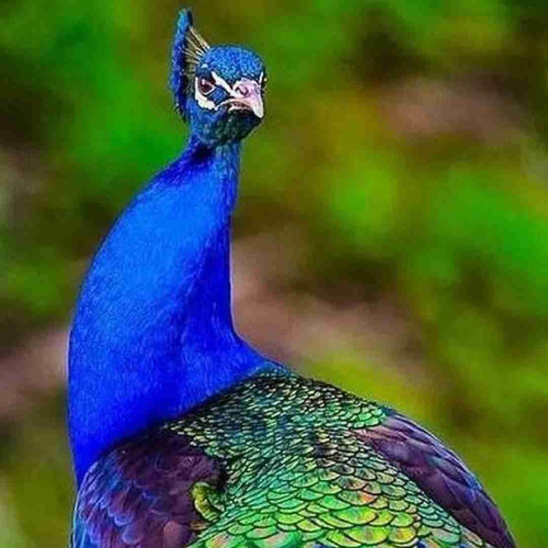 بهشون میرسیدم مثل بچم تف تو رخی که لای ماسکه