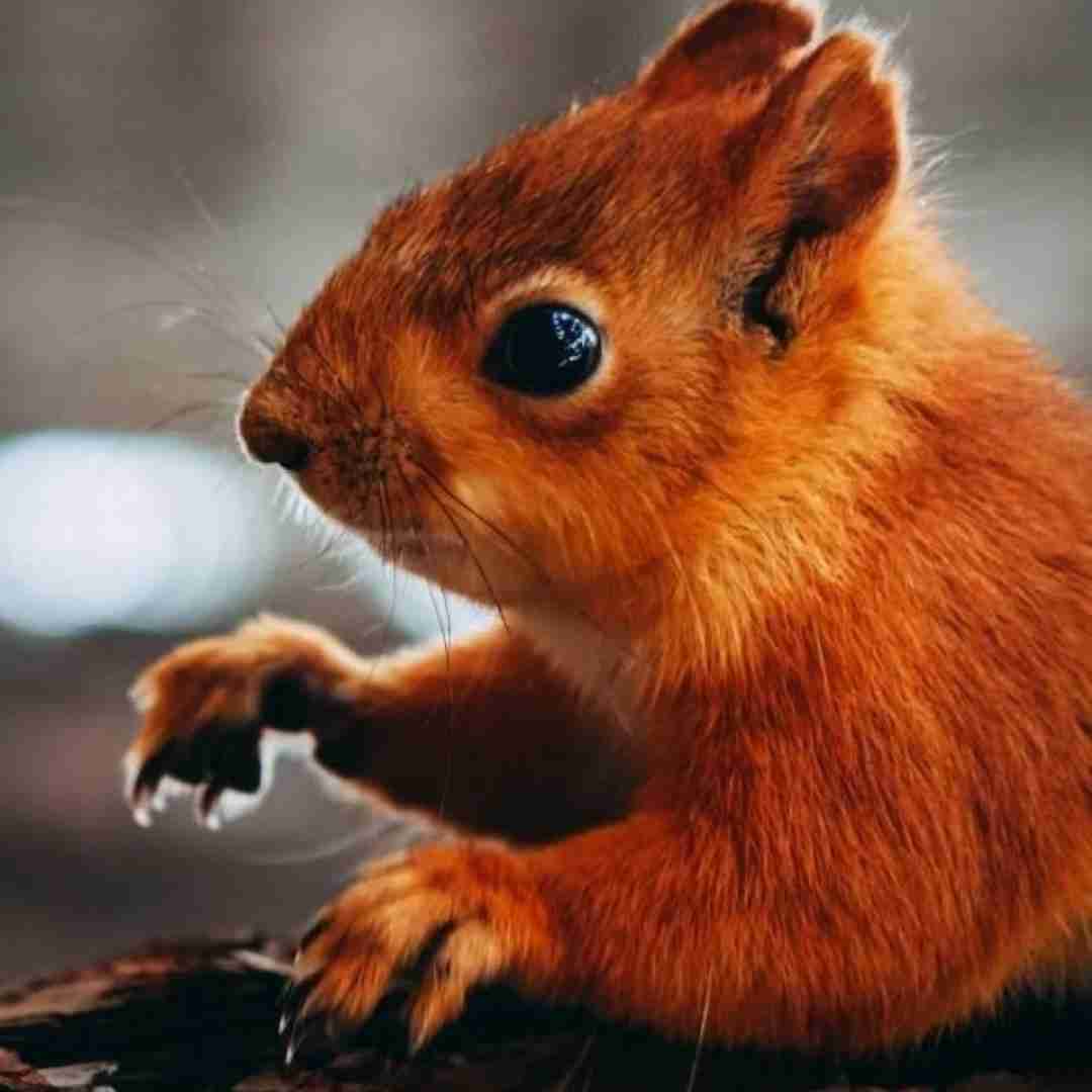 از سنگ شده چرا اون دلت نزار تنهایی بده