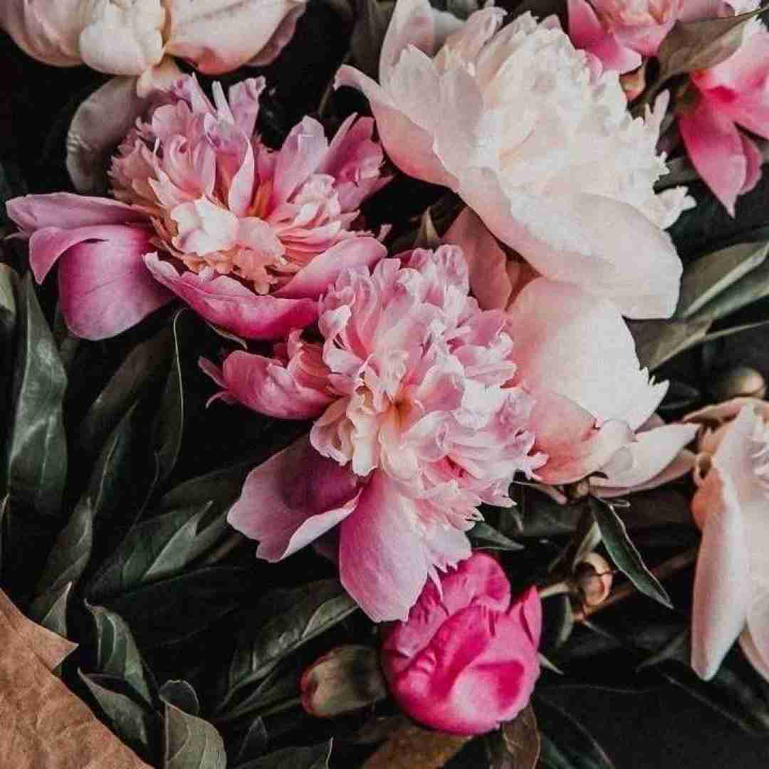  چشای رنگیش با همه فرق داشت