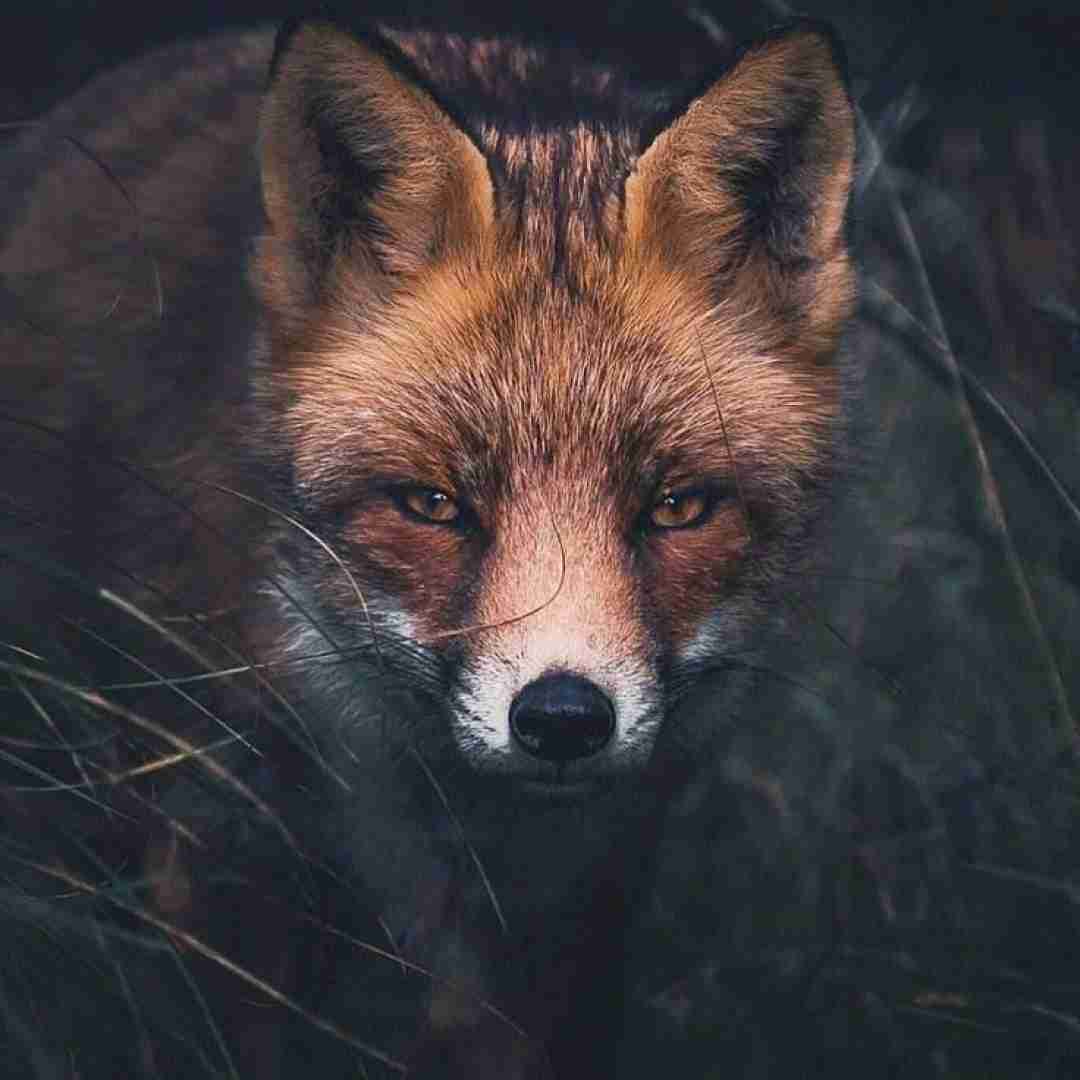 از تراس بپریم آنتن ندیم محاله پلیس بیاد بهش