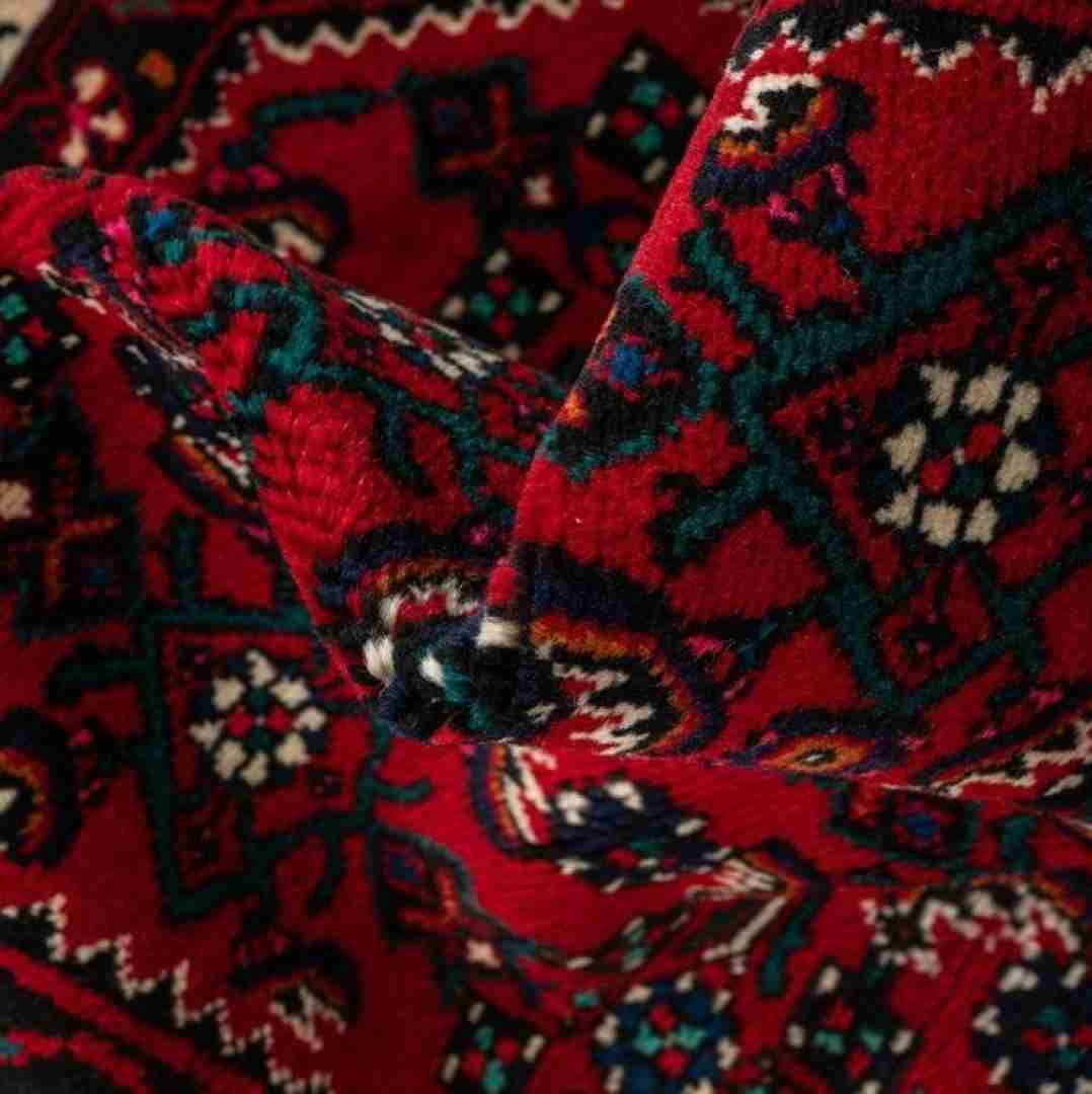 سکه دو رو داره اینم روی سگ من