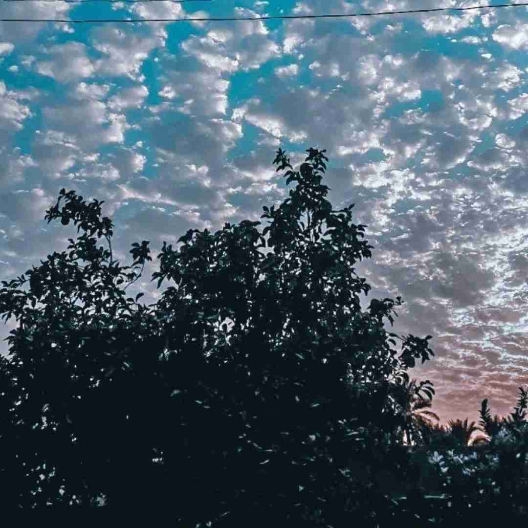  جو منو گرفت یکی بگیره منو حالا من یه چی میگمو