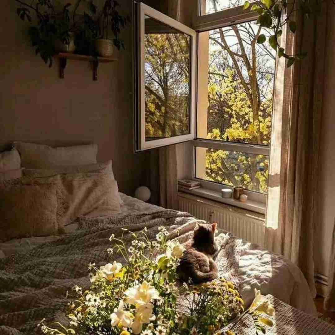  یه روزی میخواستمت اما تو خودت و کشتی تو قلبم میکس اینستایی