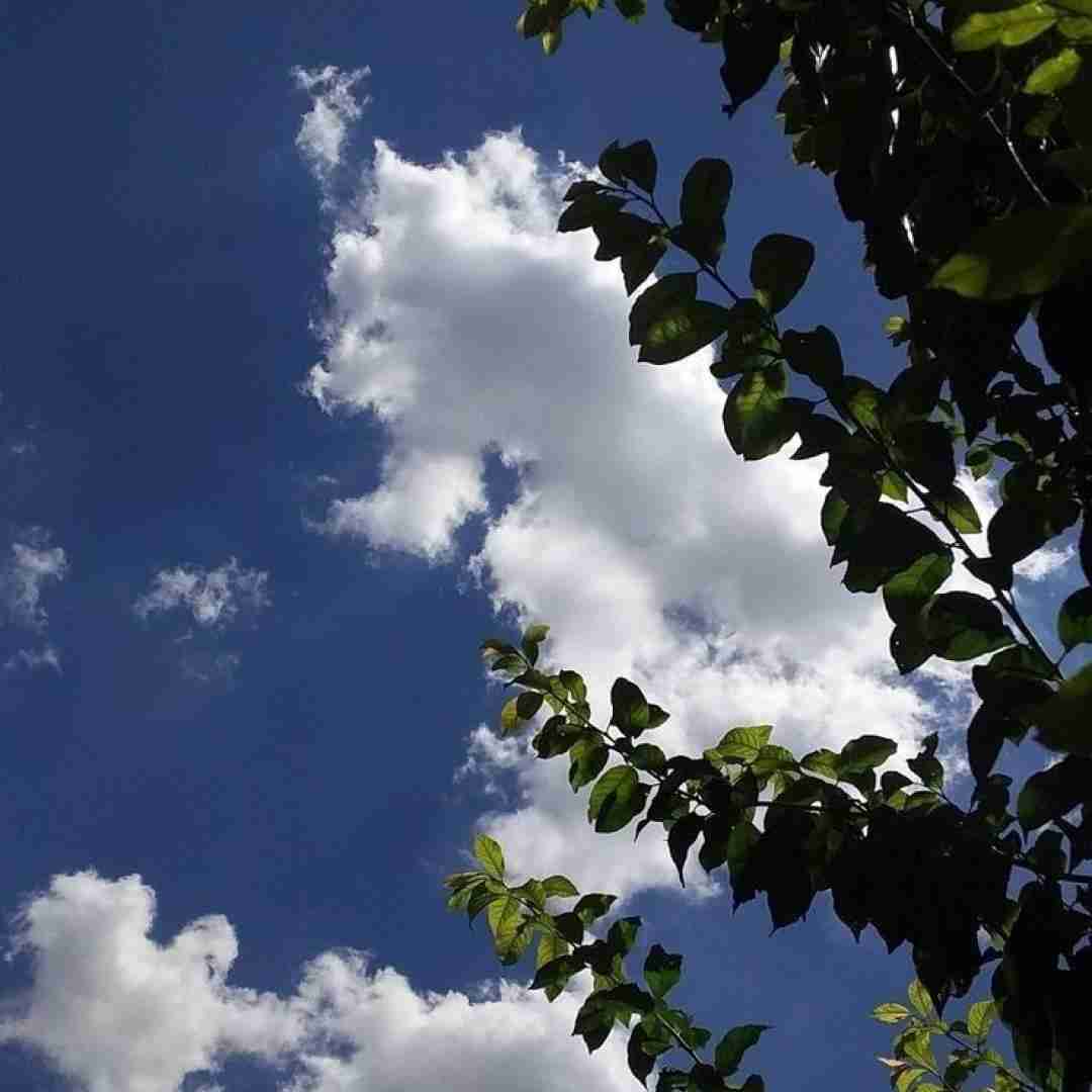 ما ادامه داریم میکس اینستایی