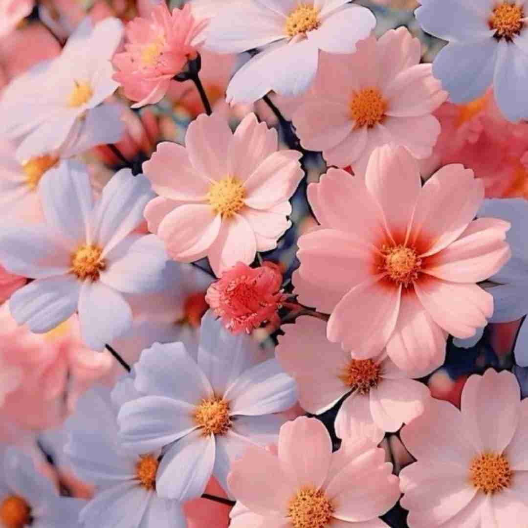 تنها بودن فیریکه رفیق شیشت پیچیده