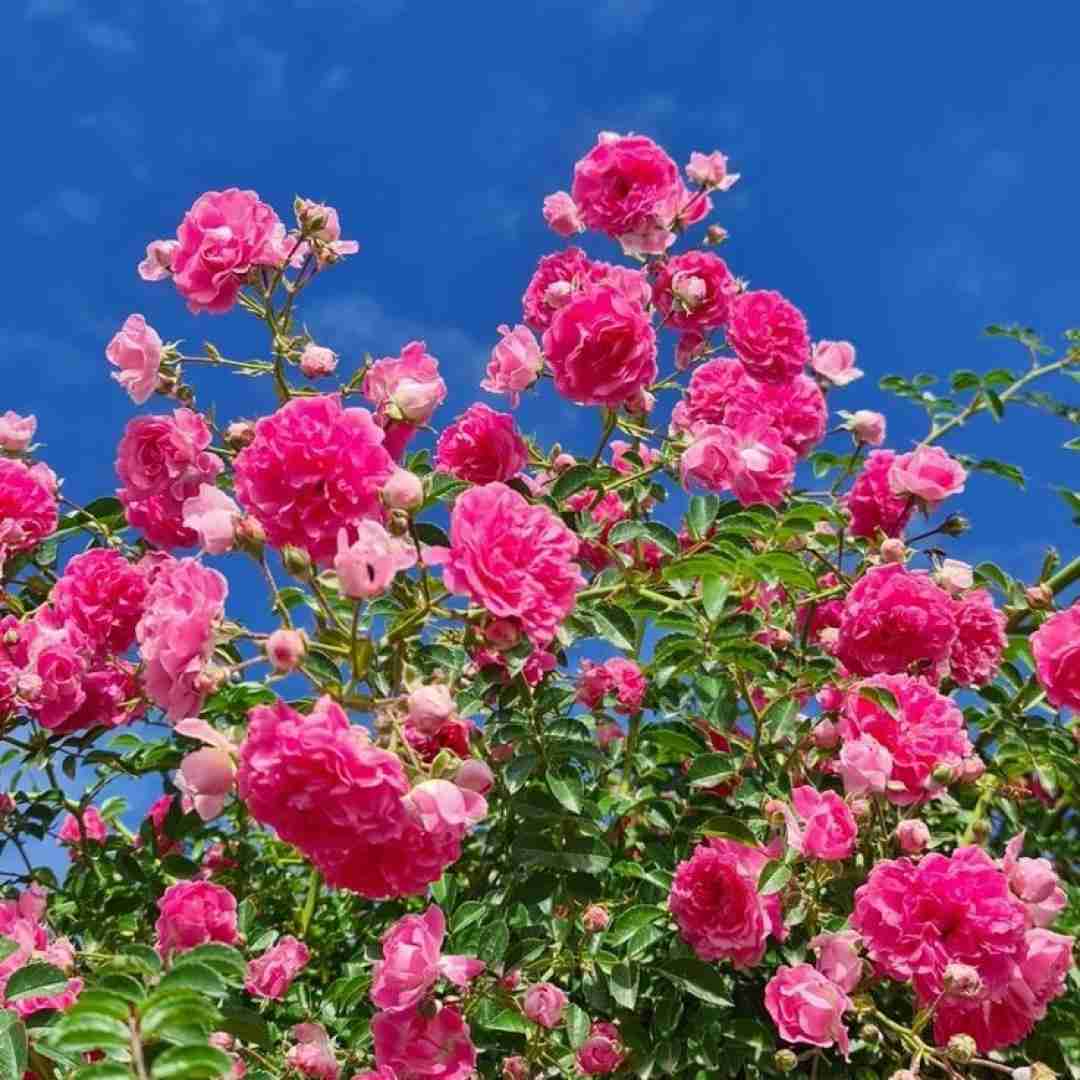  رو هر دست یه دستی هست توی هر رابطه یه درسی